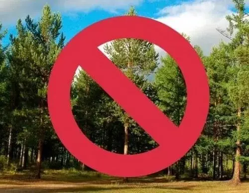 На Чугуївщині під час воєнного стану заборонено ходити до лісу та купатися у водоймах
