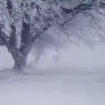 На Харківщині очікуються опади і заметіль