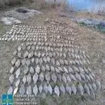Наловили риби на півмільйона: на Чугуївщині затримали браконьєрів