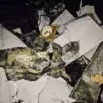 Над Харківщиною прикордонники збили російський «мопед»
