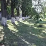 Чугуївщина вийшла в лідери з залучення робітників в «Армію відновлення»