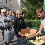 В Печенігах селянам видали допомогу курчатами
