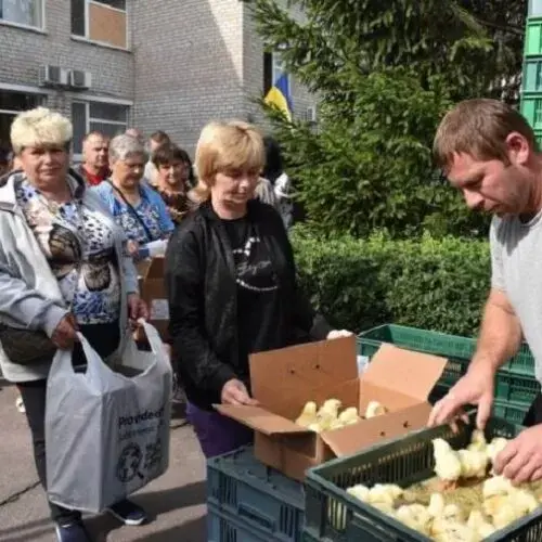 В Печенігах селянам видали допомогу курчатами
