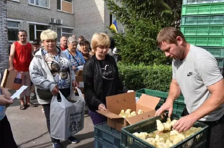 В Печенегах селянам оказали помощь цыплятам