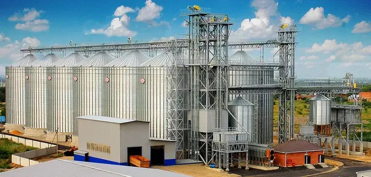 Елеватори як ключовий елемент українського аграрного бізнесу