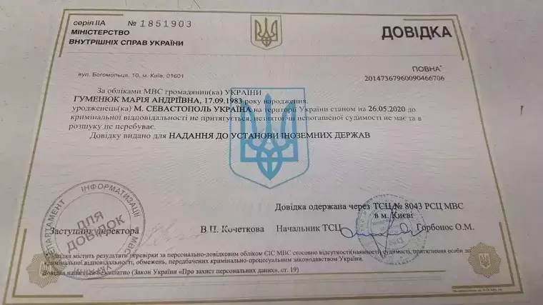 Справка о несудимости: важный документ для различных процедур и целей