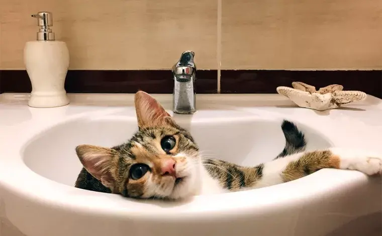 В Чугуєві відключать воду