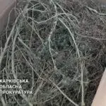 Мешканця Чугуївщини засудили за коноплю і вибухівку вдома