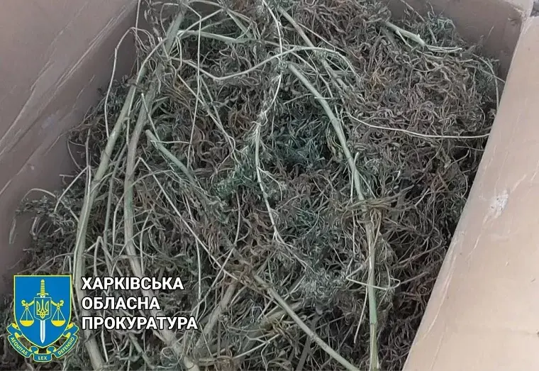 Мешканця Чугуївщини засудили за коноплю і вибухівку вдома