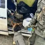 З Чугуєва в Харків: військові виявили рекордну кількість зброї і вибухівки на блокпосту