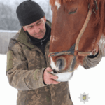 На Чугуївщині поліцейські громади допомагають доглядати покинути коней