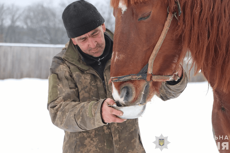 На Чугуївщині поліцейські громади допомагають доглядати покинути коней