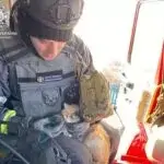 У Вовчанську на пожежі врятували домашнього кота