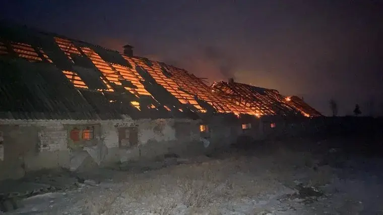 На Чугуївщині ворог знищив свиноферму: загинули тварини