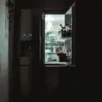 Особливості холодильників Side-by-side