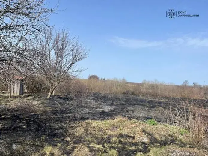 На Харьковщине женщина погибла во время сжигания сухостоя