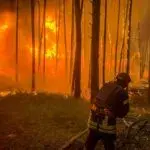 На Харківщині ворожі обстріли спричинили 5 пожеж, палають ліси