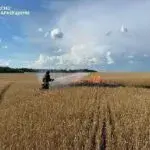 Росіяни вдарили по пшеничному лану