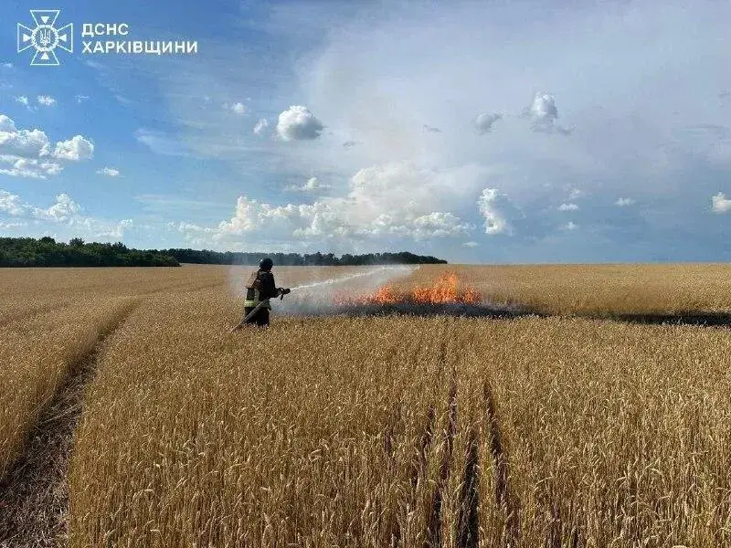 Россияне ударили по пшеничному полю