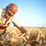 Аграрії Чугуївщини завершили збір врожаю ранніх зернових