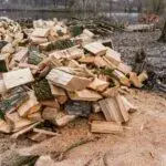 На Чугуївщині виплачуватимуть допомогу на закупівлю твердого палива