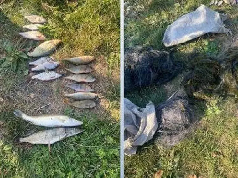 Поблизу Чугуєва затримали рибалку-браконьєра