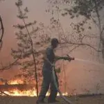 На Харківщині загасили одну з найбільших лісових пожеж