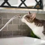 Відключення води