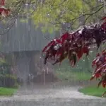 Жовтень