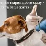 Вакцинація