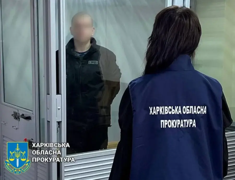 Мешканця Чугуївщини засудили на 15 років за співпрацю з ворогом