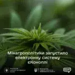 Електронна система «єКоноплі»