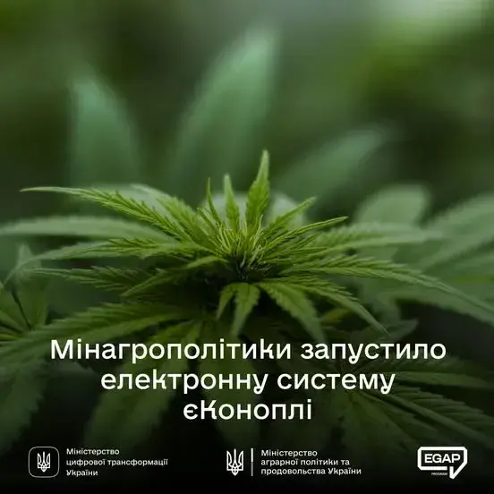 В Украине запускают электронную систему «еКонопли»