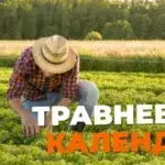 Посівний календар на травень
