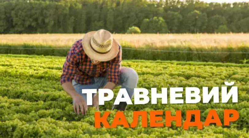 Посівний календар на травень 2025: поради для гарного врожаю