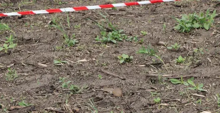 На Харьковщине у мужчины в руках разорвался боеприпас: последствия взрыва