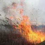 Пожежна небезпека