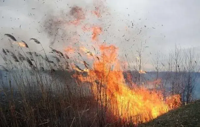 На Харківщині оголошено найвищий рівень пожежної небезпеки: що відомо