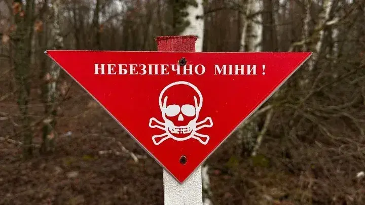 На Чугуївщині 62-річна жінка підірвалася на «пелюстці»