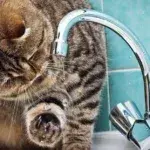 Відключення води