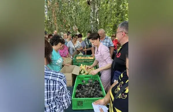 Жителі Чугуївщини отримали курчат і комбікорм: кому дісталась допомога