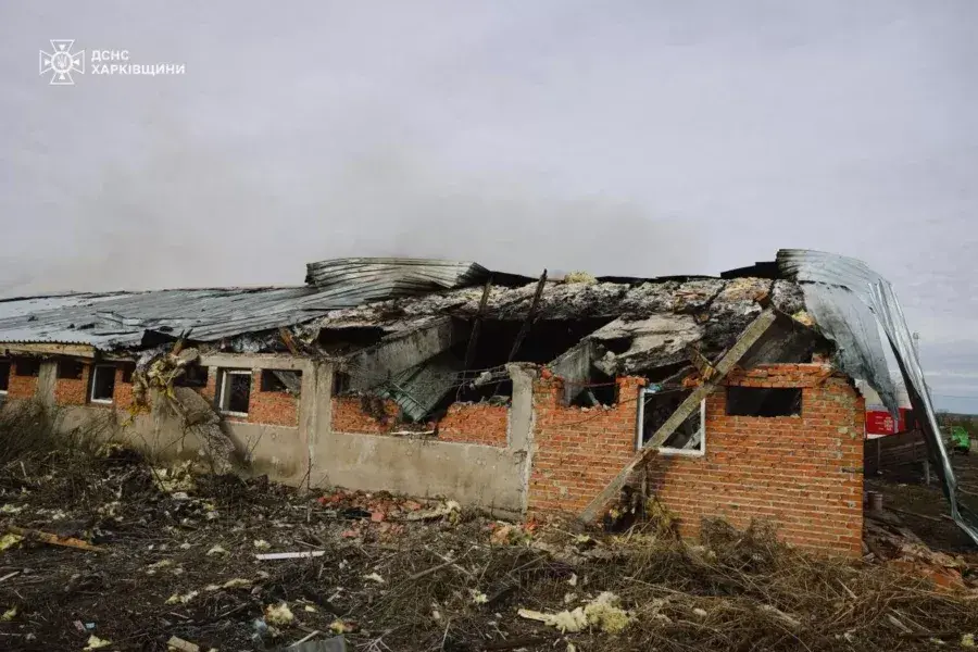 На Харьковщине россияне убили 13 тысяч свиней: последствия обстрела