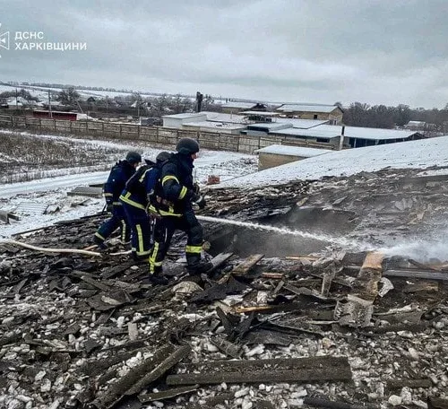 Ферма под ударом: в Харьковской области из-за атаки погибли животные и пострадал мужчина
