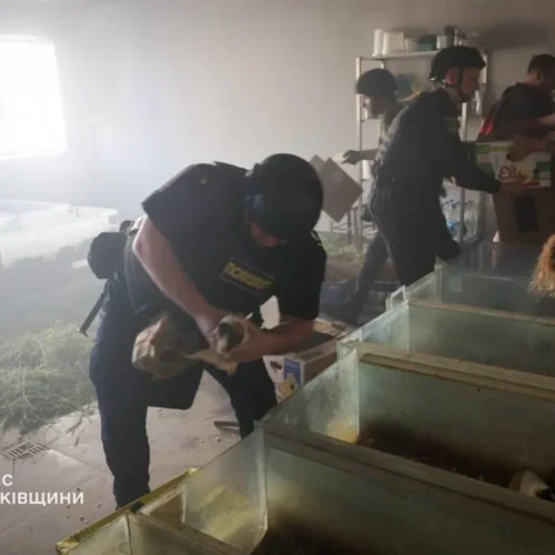 В Харькове российский беспилотник попал в зоопарк: погибли животные и повреждены вольеры
