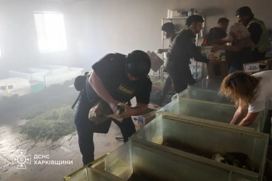В Харькове российский беспилотник попал в зоопарк: погибли животные и повреждены вольеры