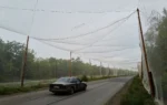 Антидронові сітки