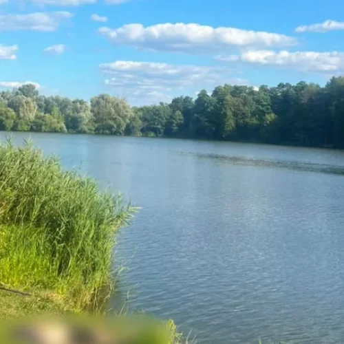 Закинув вудочку і загинув: на Харківщині 25-річного чоловіка смертельно вразило струмом