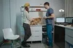Швидкі аналізи тваринам: які, коли та що вони показують