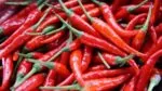 Корисні властивості перцю чилі: як використовувати пекучий продукт