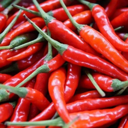 Корисні властивості перцю чилі: як використовувати пекучий продукт